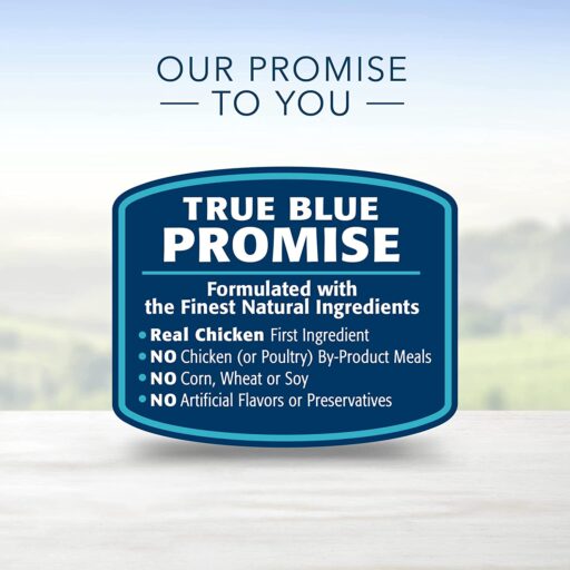 Blue Buffalo Life Protection Formula Natural Senior Small Breed Dry Dog Food