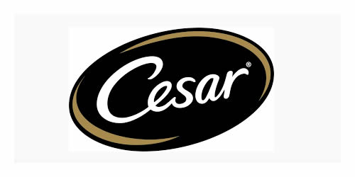 Cesar