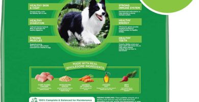 IAMS Adult Minichunks Small Kibble High Protein Dry Dog Food