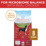 Purina ONE Natural Dry Dog Food