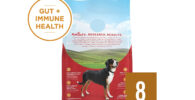 Purina ONE Natural Dry Dog Food