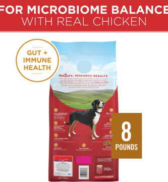 Purina ONE Natural Dry Dog Food