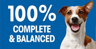 Pedigree Small Dog Complete Nutrition Small Breed Adult Dry Dog Food