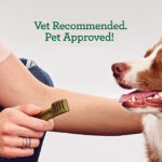 GREENIES Original TEENIE