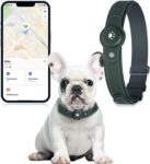 Bonso 2-in-1 collar on a dog in a Journal Square setting