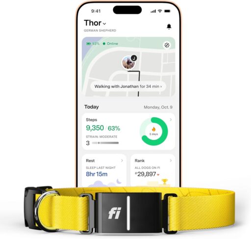 Right side, showing the Fi Series 3 collar on a dog in Lincoln Park