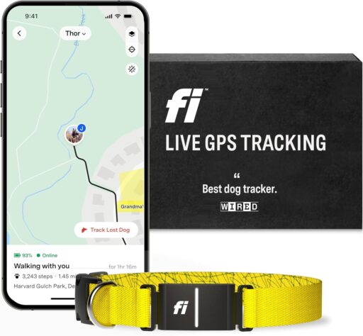 Fi Series 3 Smart Dog Collar - GPS Dog Tracker and Activity & Health Monitor in San Bernardino County