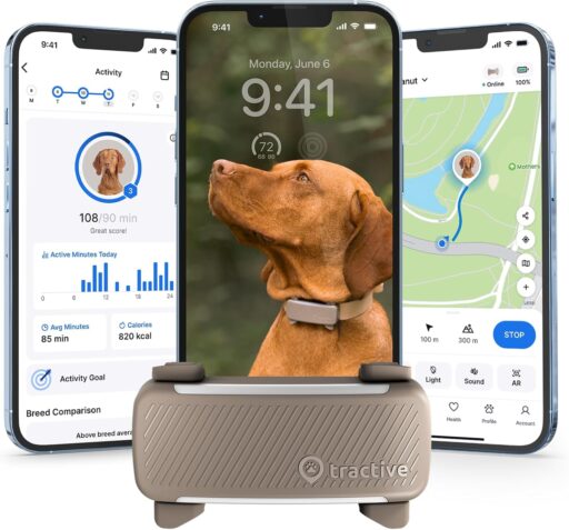 Left side, showing the Tractive GPS Tracker on a dog near Exchange Place
