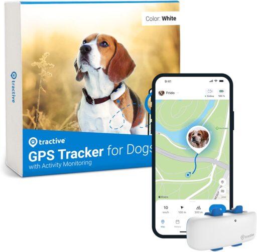 Tractive GPS Tracker on dog in Getty Square, Yonkers, NY