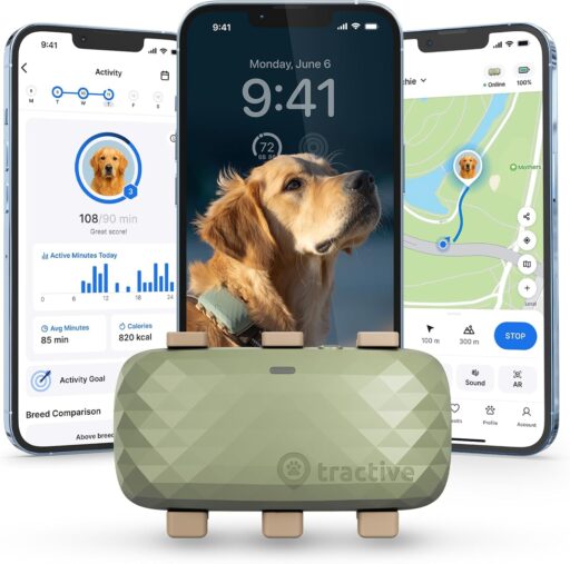 Tractive XL Smart Dog GPS Tracker San Bernardino County