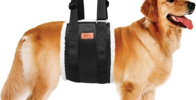 This harness is a lifesaver for dogs with weak hind legs! It's adjustable, soft, and makes walking so much easier.