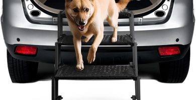 Dog Stairs for Car - Foldable Dog Ramps for Large Dogs with Non Slip Surface