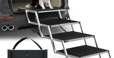 Extra Wide Dog Stairs for Large Dogs
